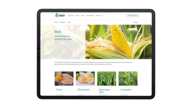 Implemented Pimcore`s PIM, DAM and CMS solutions for Better User Experience and Higher Growth